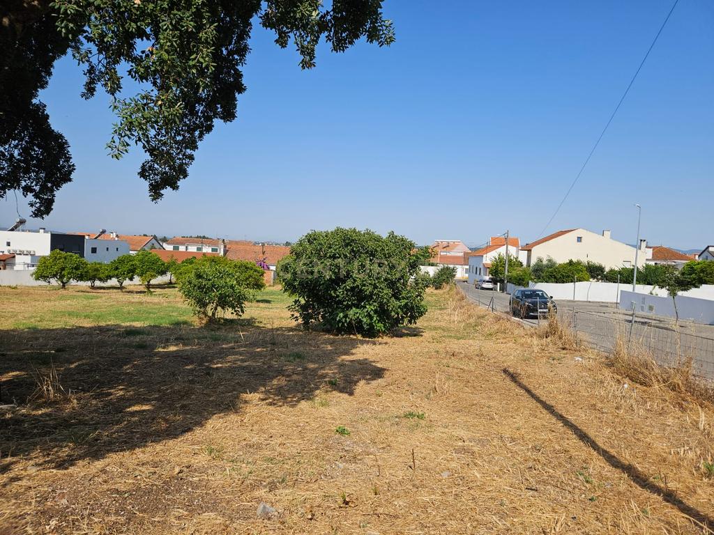 Terreno Urbano em Atalaia Vila Nova da Barquinha - Image 2