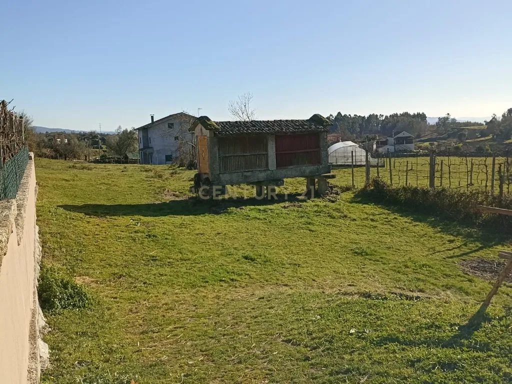 Quintinha Única com 6000m² de Terreno Construtivo – Serzedelo, Póvoa de Lanhoso - Image 4