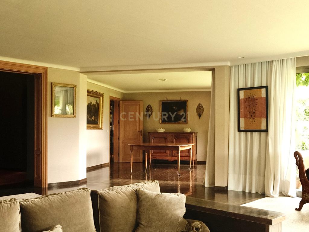  - Image 7