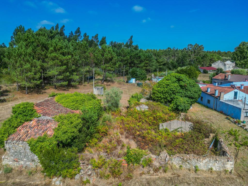 Propriedade com duas casas para reabilitar, terreno e poço na Costeira – Figueira da Foz - Image 20