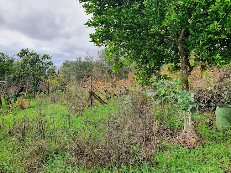 Terreno Rústico em Carapuça - Gonçalo, Guarda com Vista Panorâmica - Image 13