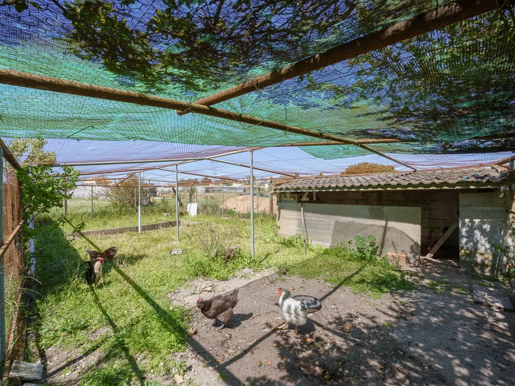 Investimento a Dobrar: Duas Moradias, Um Só Terreno - Image 6