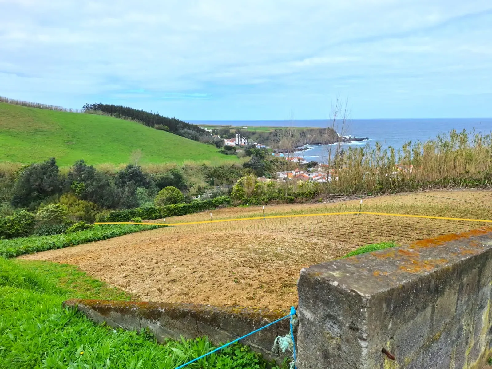 Fotografia 8 de 🌿 Terreno Rústico com Vista Mar – Porto Formoso