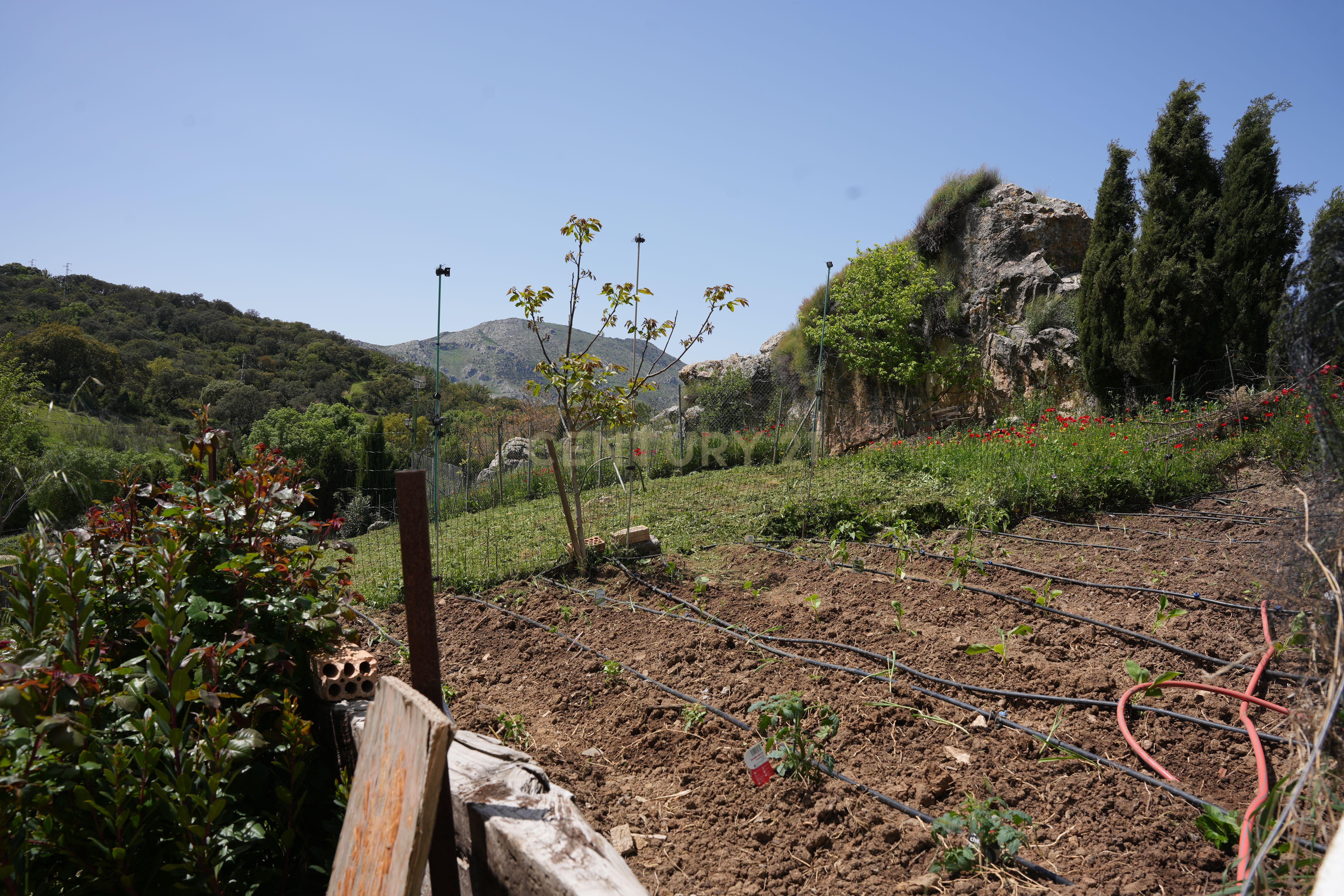 VENDA DE PROPRIEDADE RÚSTICA EM ANTEQUERA COM EXPLORAÇÃO DE AGROTURISMO - Image 53