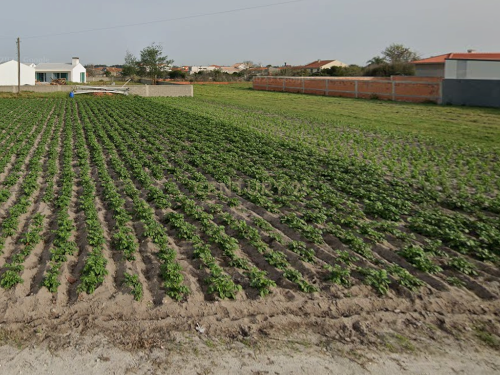 Terreno Urbano para Construção - Image 4