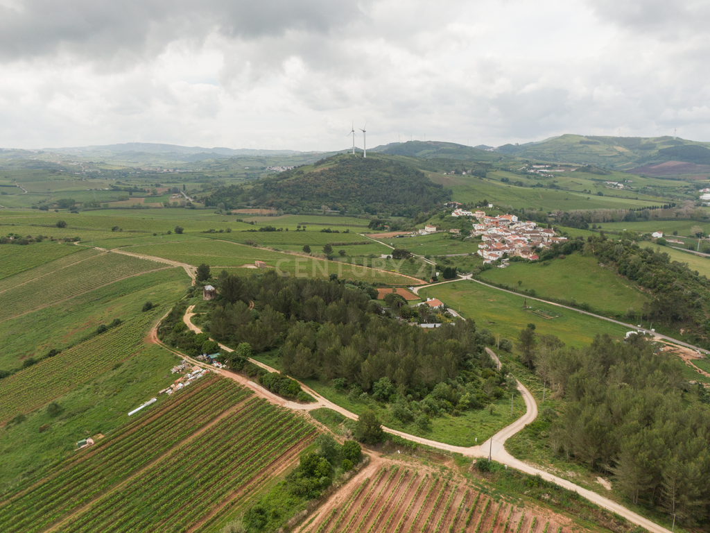 Quinta do Penedo – Runa Torres Vedras - Um Tesouro do Século XVIII com Projeto Turístico Aprovado - Image 49