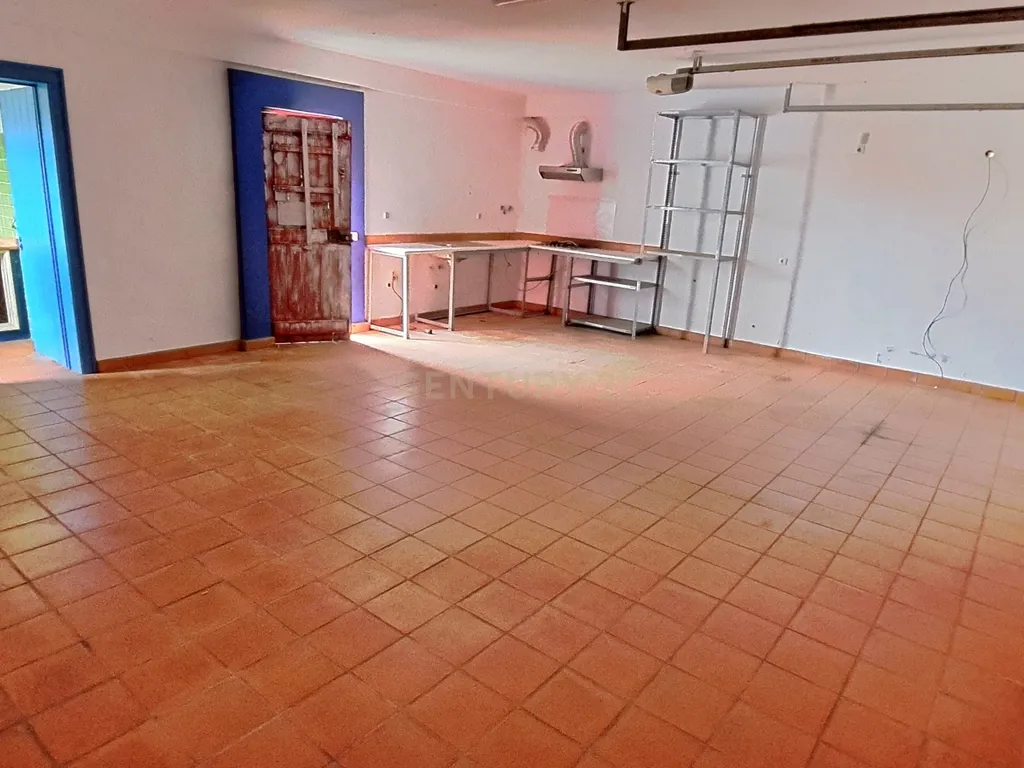 Terreno Rustico 5250m2 com moradia não licenciada Pegões Claros - Image 19