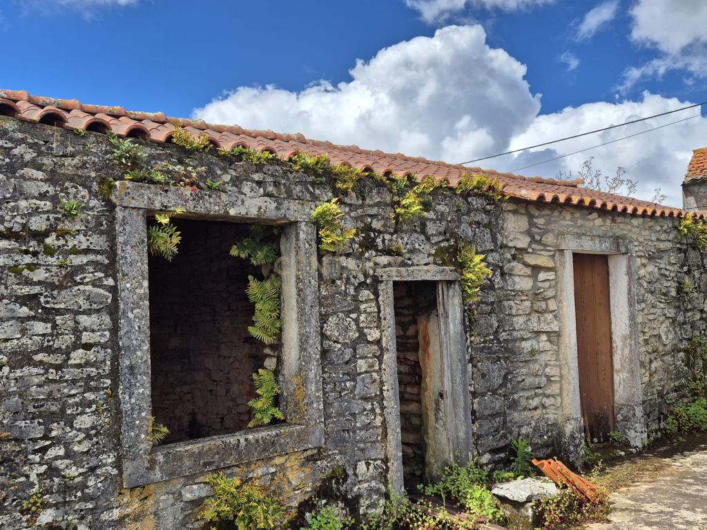 Oportunidade Única - Refúgio com vista para a Serra de Sicó, em Cotas, Pombalinho.  - Image 8