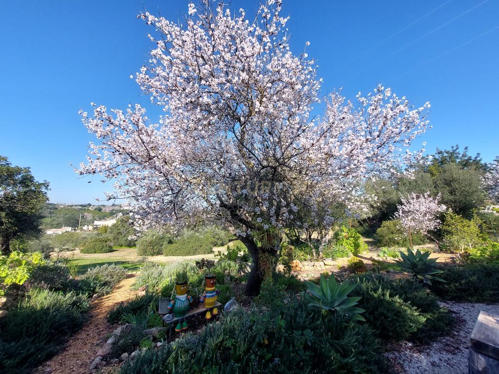 MORADIA TÉRREA T3 DE LUXO – ARQUITETURA CONTEMPORÂNEA EM PEDRA, A 8 MINUTOS DE TAVIRA - Image 39