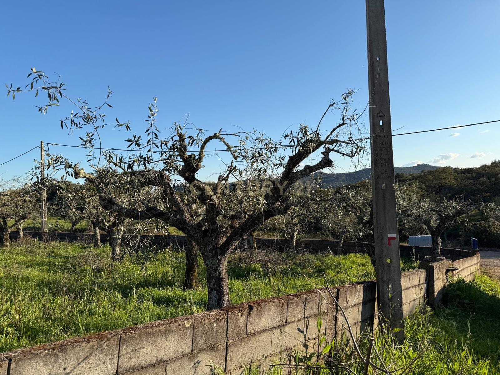 Moradia T1 à venda em Alegrete, Portalegre — foto 16