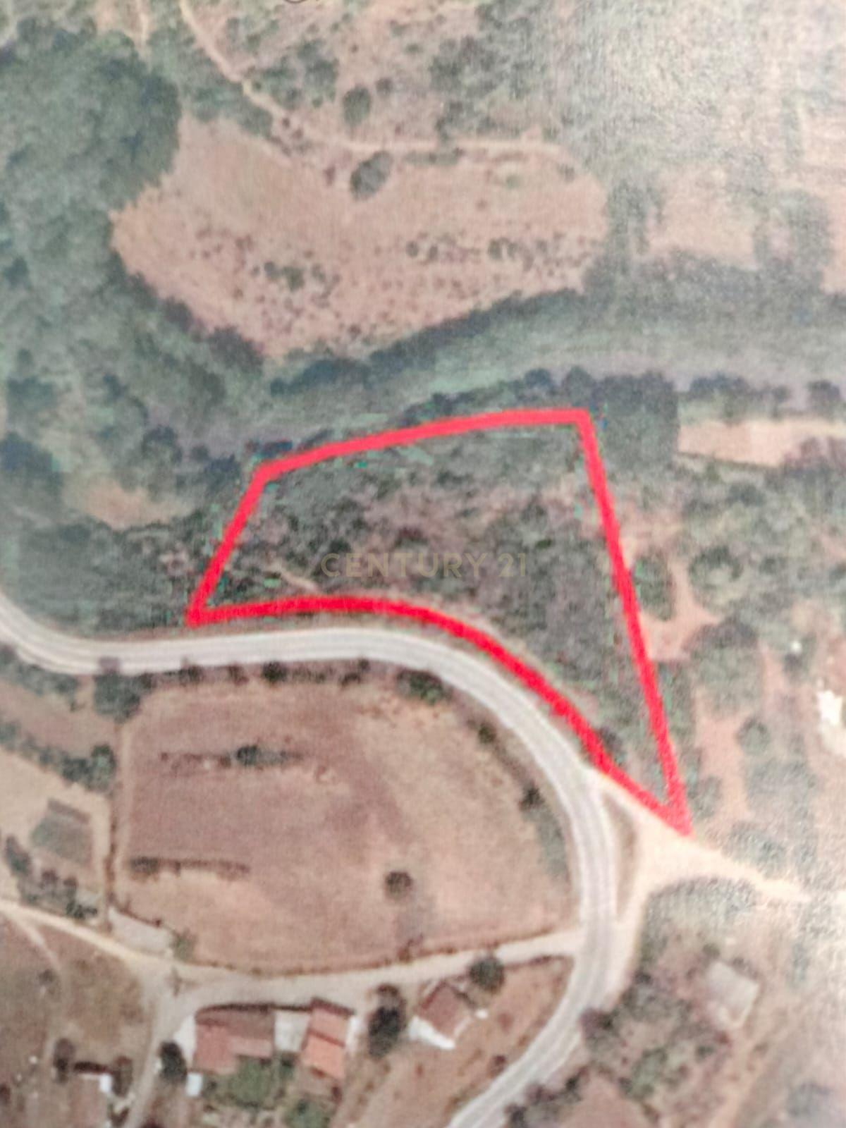 Fotografia 7 de Terreno de 4.500 m² em Meixedo, Bragança — uma oportunidade para um projeto de ecoturismo e turismo de natureza
