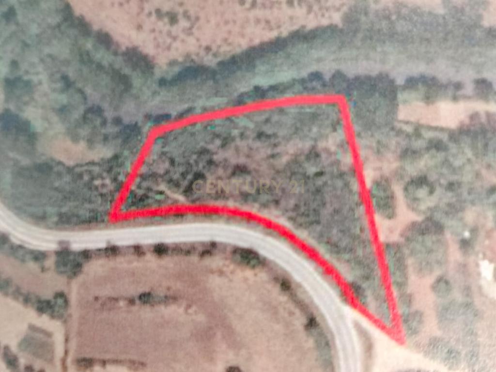 Terreno de 4.500 m² em Meixedo, Bragança — uma oportunidade para um projeto de ecoturismo e turismo de natureza - Image 7
