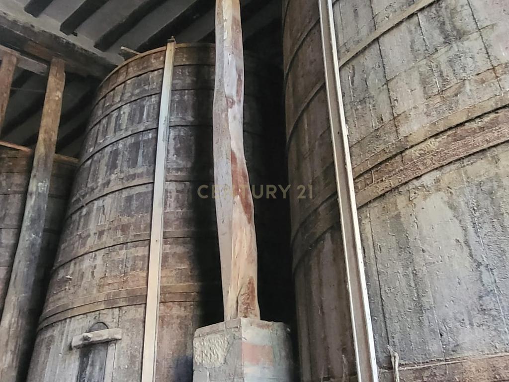 undefined - Image 49