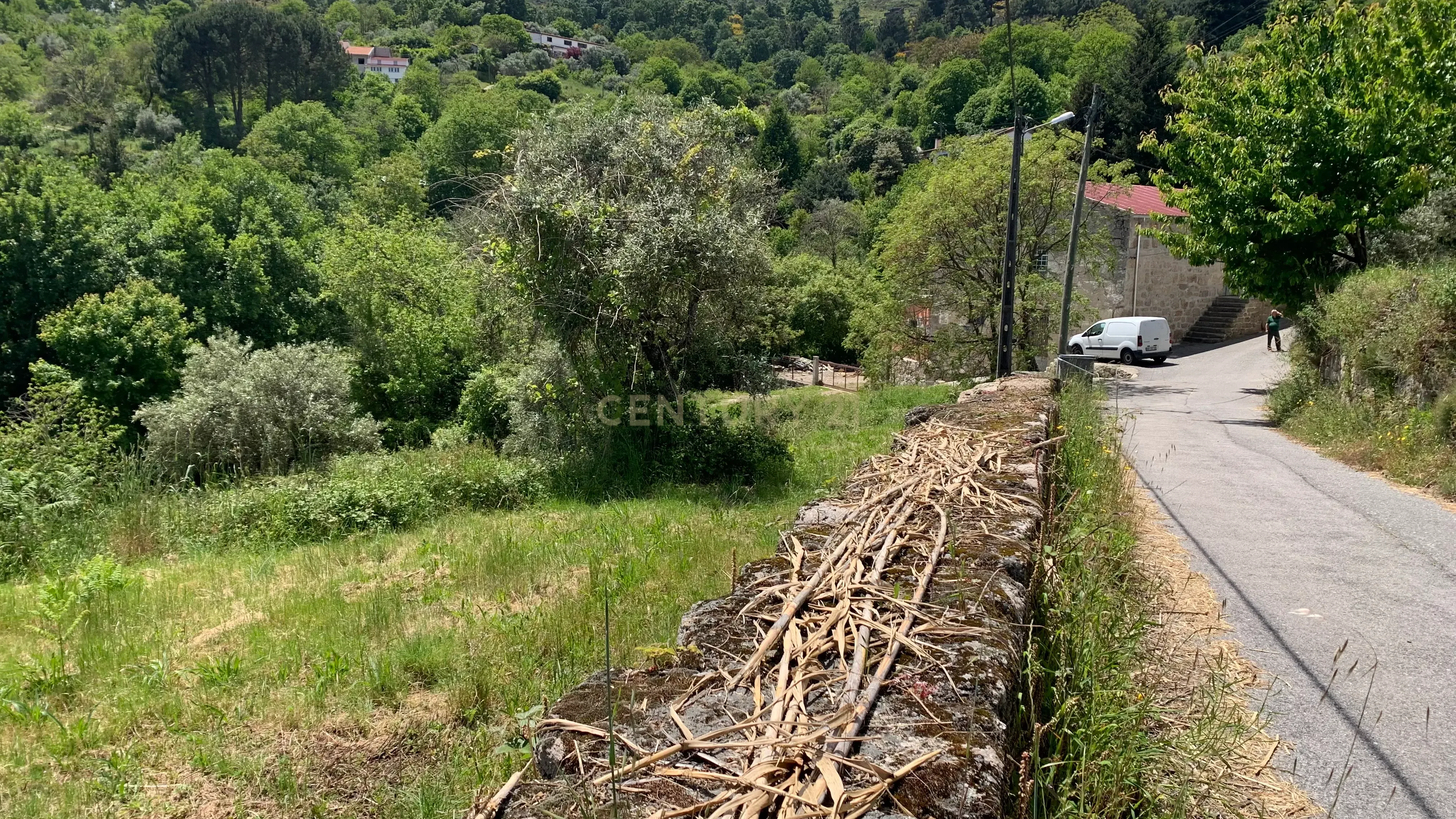 Terreno Urbano com 10546,49 m2 Junto ao Bar Periferia em Santo António - Image 1
