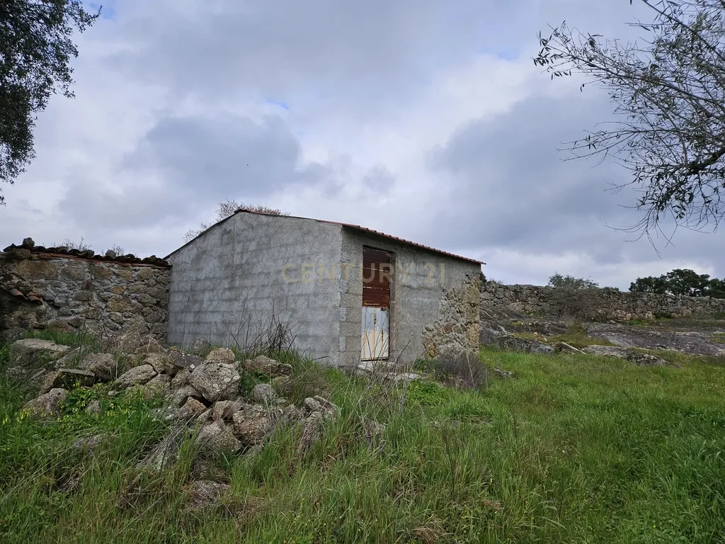 Quintinha na Lousa, Castelo Branco - Image 10
