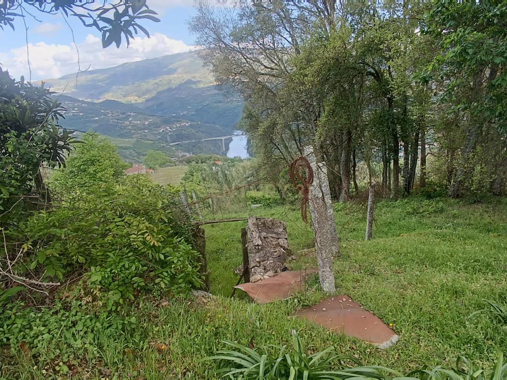 Belíssima ruína em terreno verdejante com vista deslumbrante para o Rio Douro, Baião, Porto - Image 54