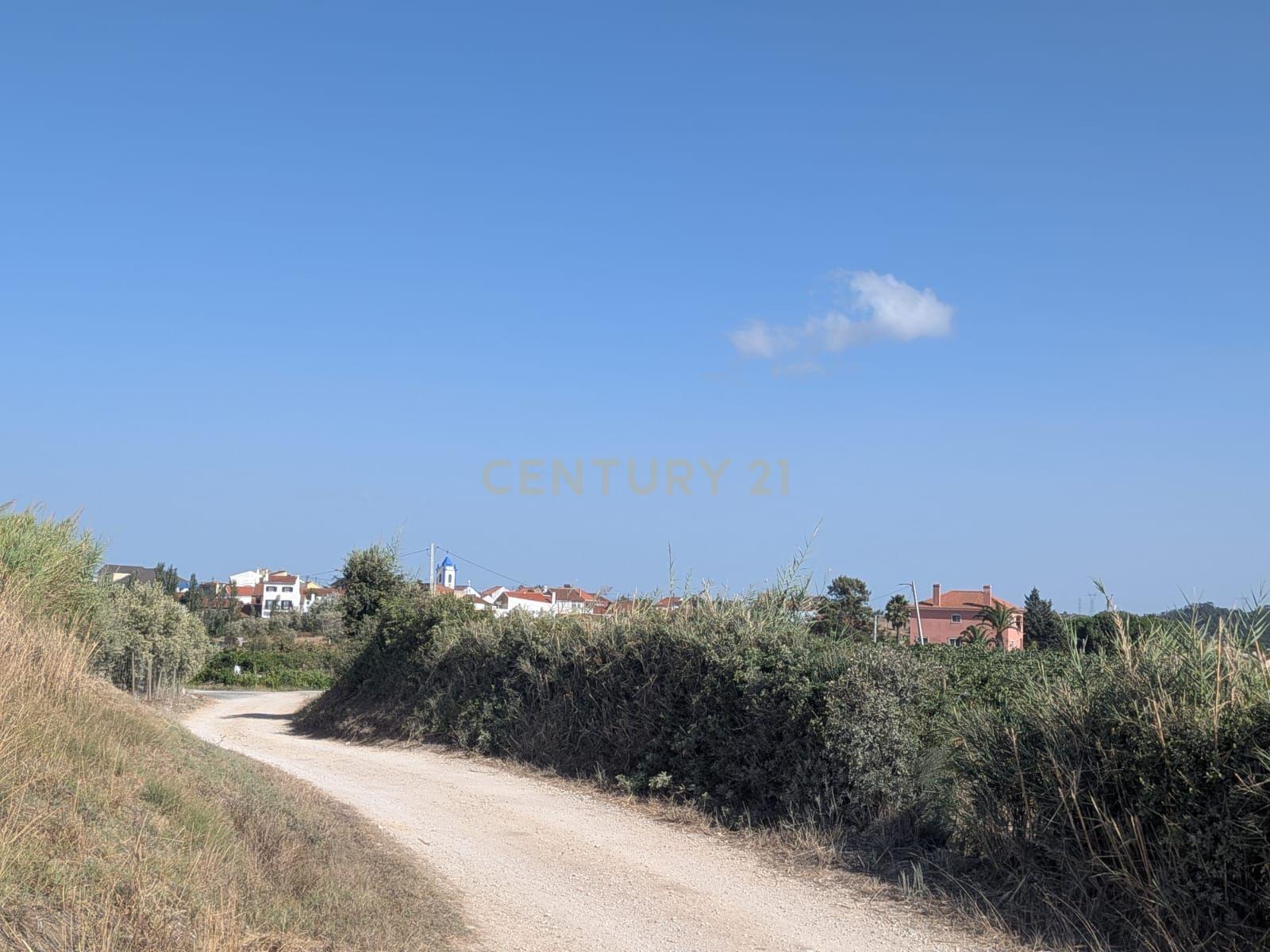 Fotografia 4 de Terreno com Cerca de 4.000 m² em Cercal – Lamas, Cadaval