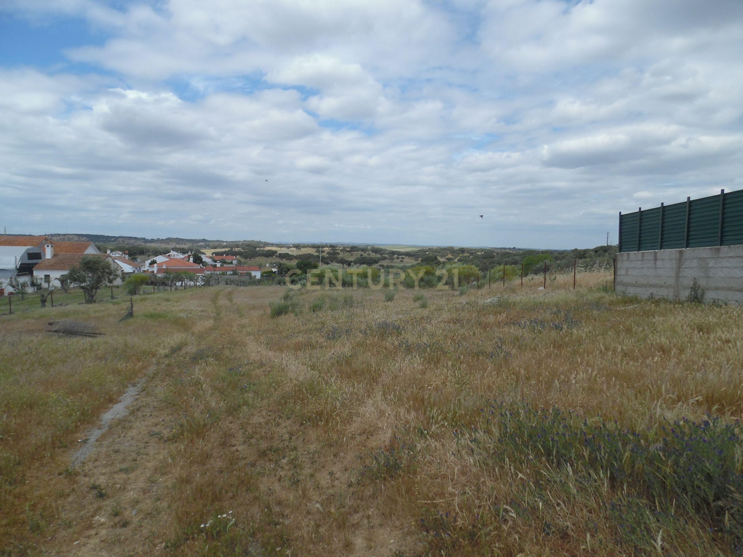 Moradia T3 à venda em Capelins (Santo António), Alandroal — foto 13