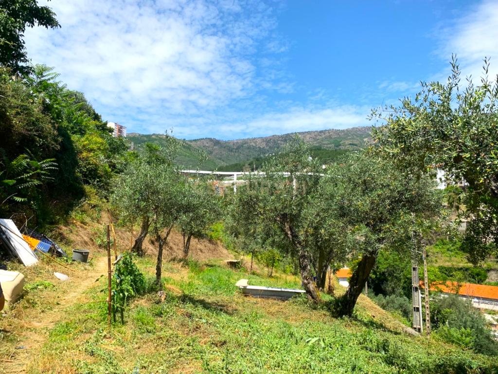 Terreno Urbano com 8.123m2 para Construção na Cidade da Covilhã – 48 Fogos - Image 8