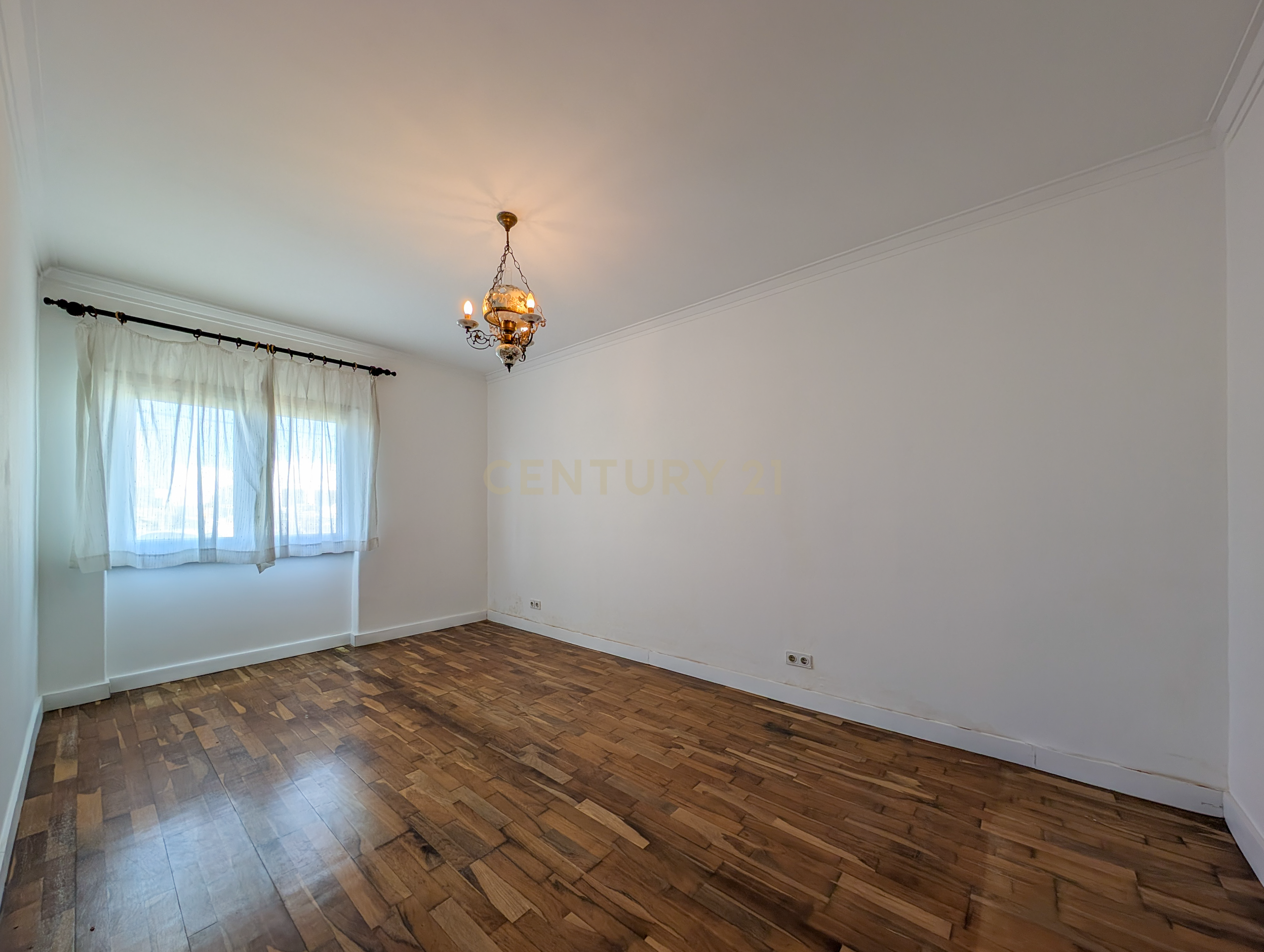 Fotografia 11 de Pinhal Palmeira - Moradia Bifamiliar + Moradia T2 com Armazém em Terreno de 1.010 m²