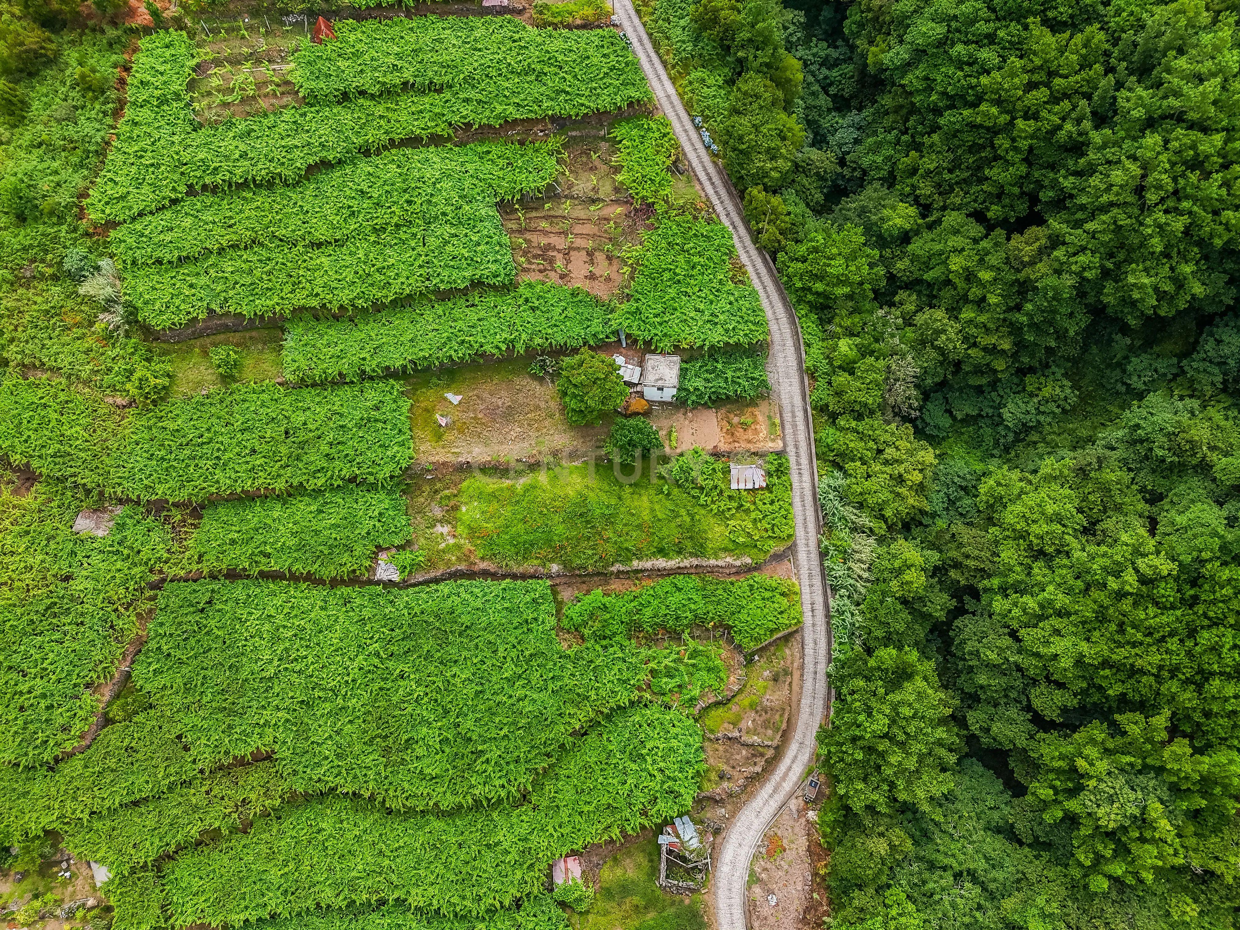 Fotografia 6 de Terreno para Construção com Projeto Residencial à Venda