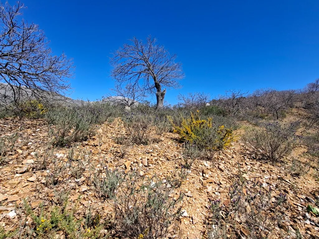 Moradia geminada de gaveto, com orientação sul, vistas para a montanha e duas propriedades rústicas com oliveiras, vinhas e castanheiros, no coração do Alto Genal. - Image 38