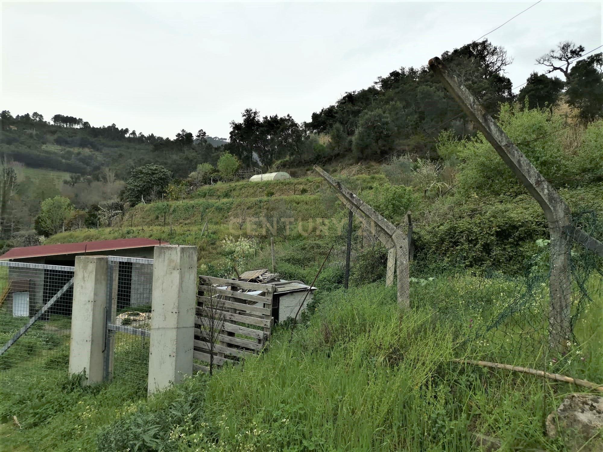 Terreno agrícola com àgua e viabilidade de construção em Granja, S. Tomé de Covelas, Baião, perto do do rio Douro, Porto - Image 13