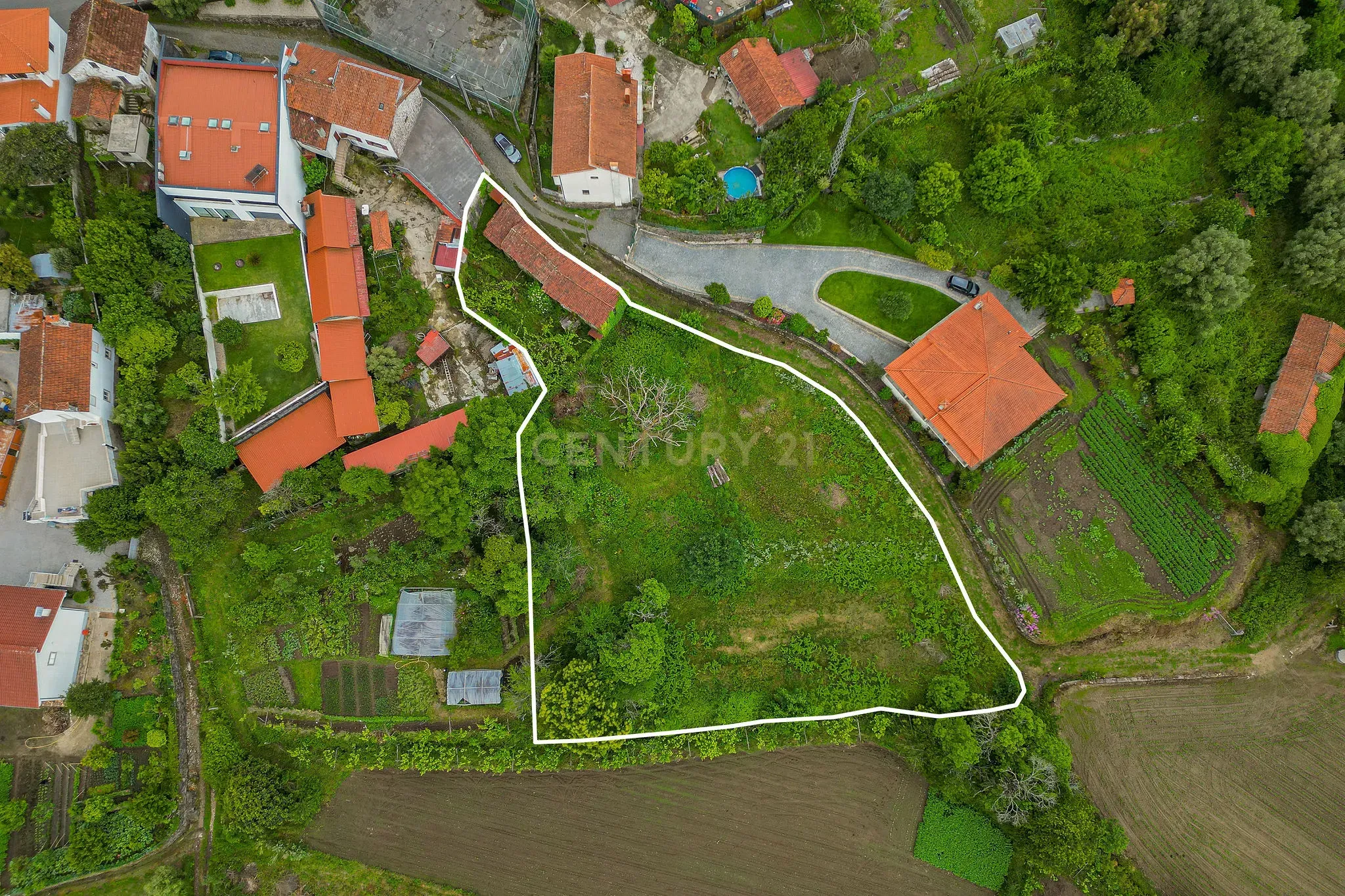 Fotografia 6 de Casa Antiga com Vista Campestre em Aguiar, Barcelos