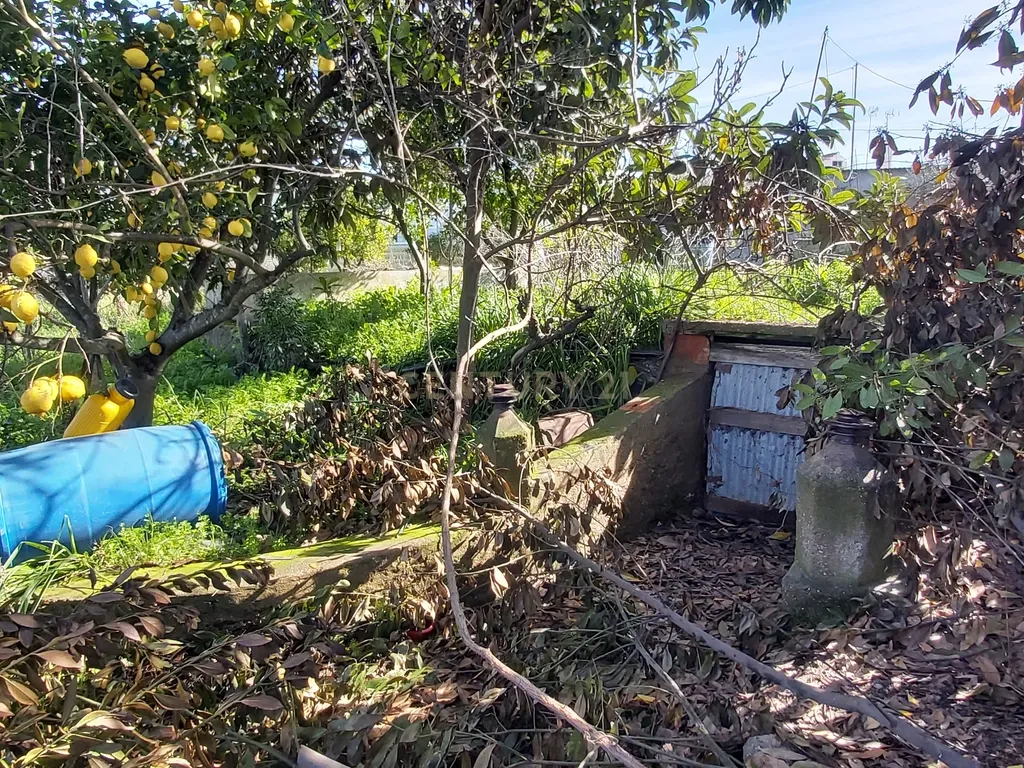 ✨ Terreno com 8.500 m² com 2 Moradia na encantadora Vila da Amareleja – Alentejo ✨ - Image 9