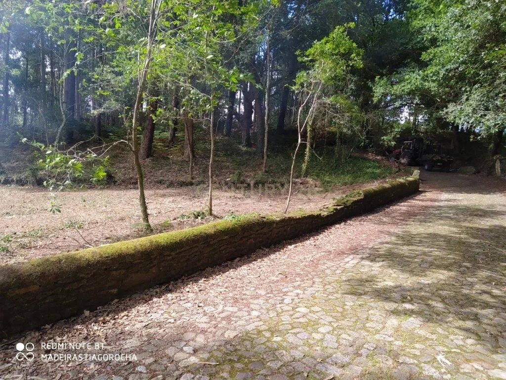 Terreno de 1.934m2 com todas as infraestruturas c/vista ao Rio Minho, em Caminha. Excelente exposição solar. - Image 2
