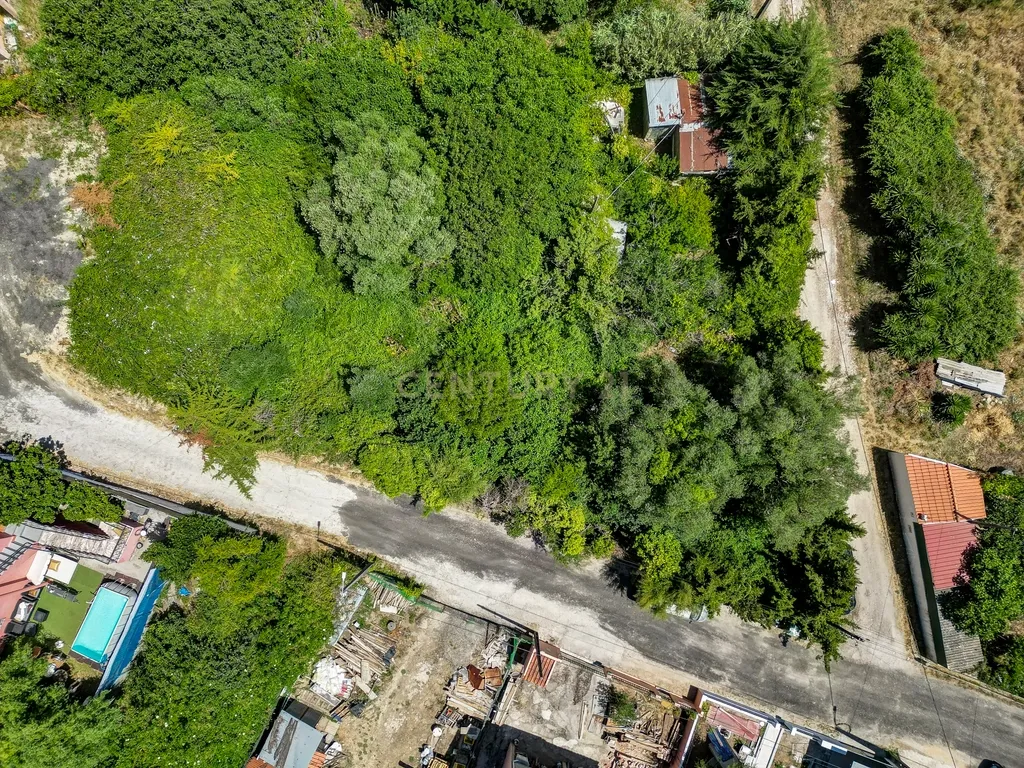 Terreno à Venda em Vale de Almornos – 1.000 m² de Natureza, Potencial e Tranquilidade! - Image 6