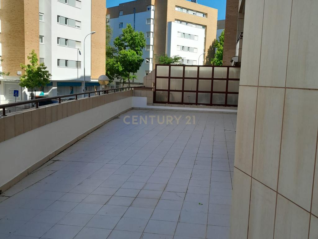 Fantástico T2 com Terraço e estacionamento, frente ao Parque das Conchas - Image 11