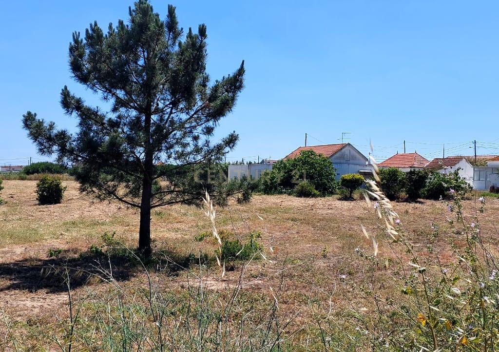Oportunidade Única: Terreno de 11.700 m², localização central na Charneca da Caparica - Image 16