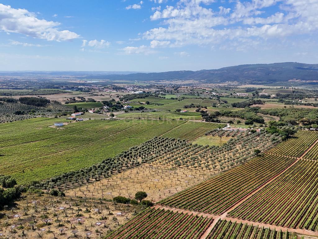 Quinta T3+3 com 4 HA em Borba – Natureza, Produção Agrícola e Conforto - Image 28