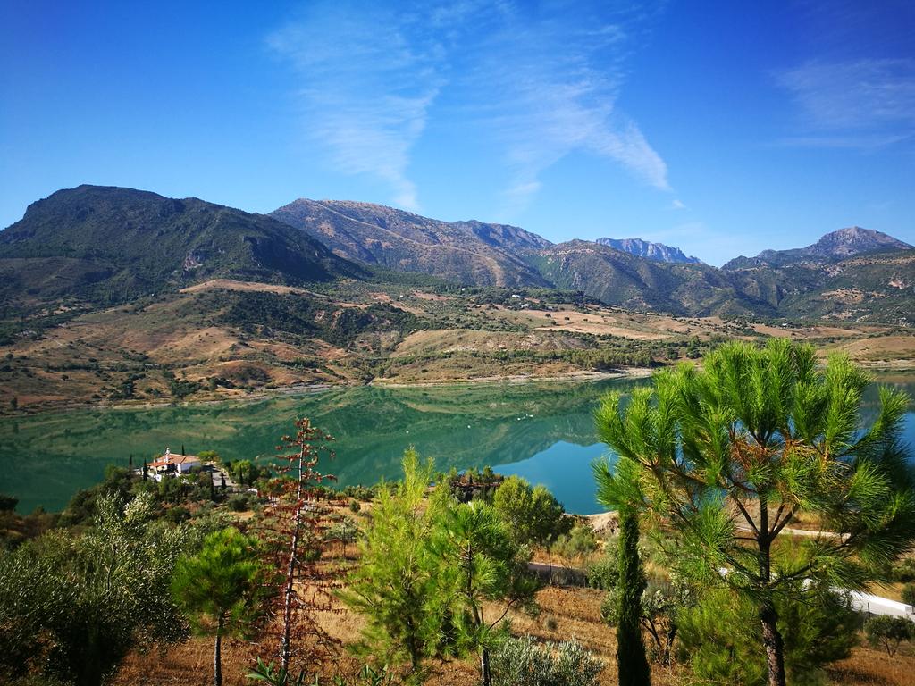 Propriedade rústica com vista para piscina e zona húmida – pronta a habitar - Image 29