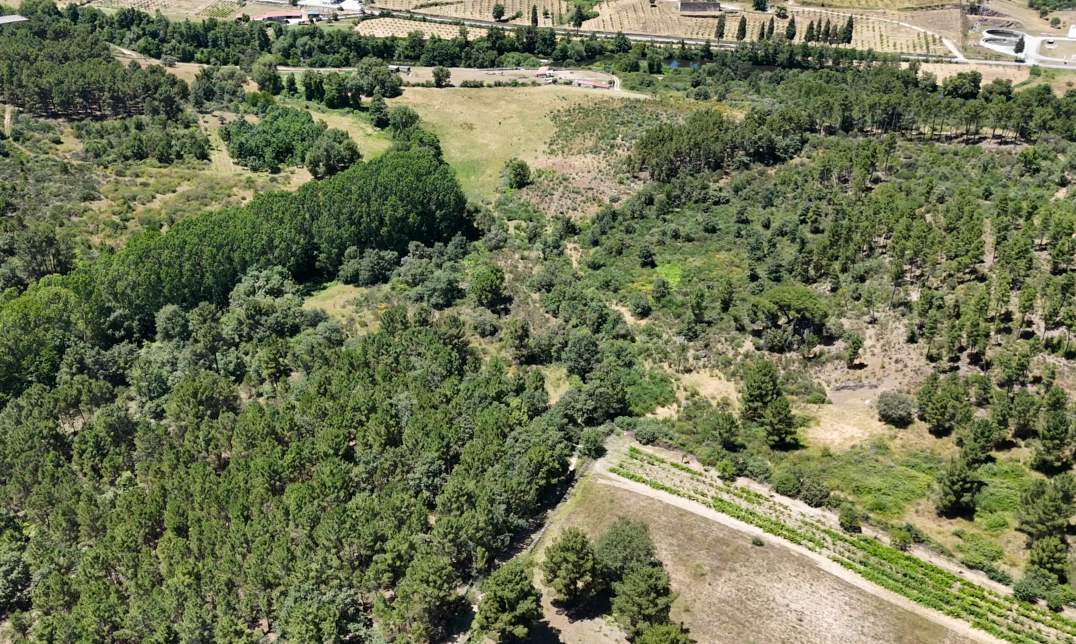 Fotografia 6 de Terreno de 12 hectares, perto da Estrada N2, a 5km da cidade de Chaves