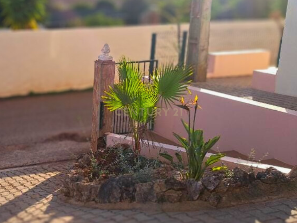 Quinta encantadora com potencial de expansão perto de Albufeira - Image 31