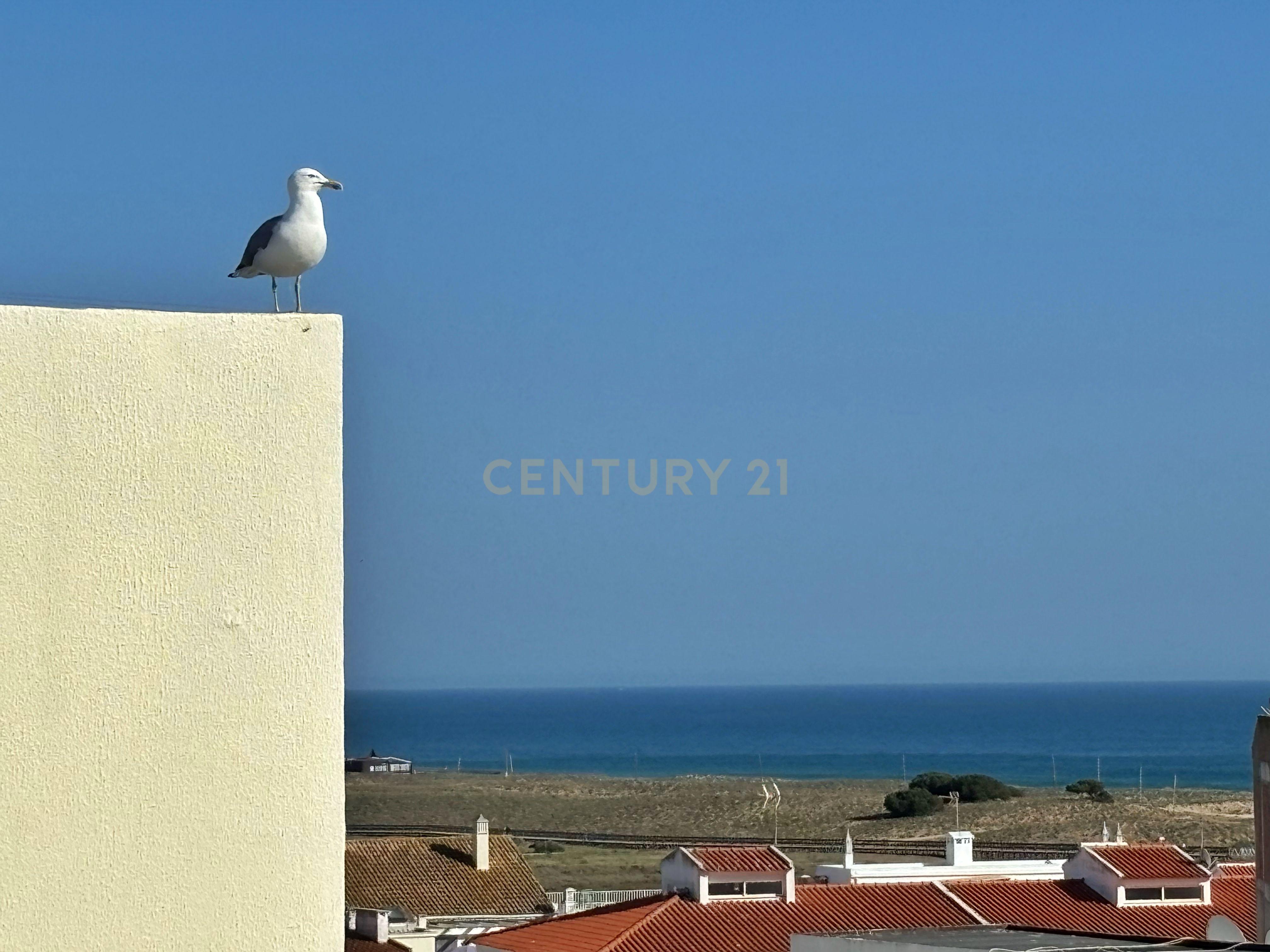 Amplo T1 perto da praia de Armação de Pêra - Image 19