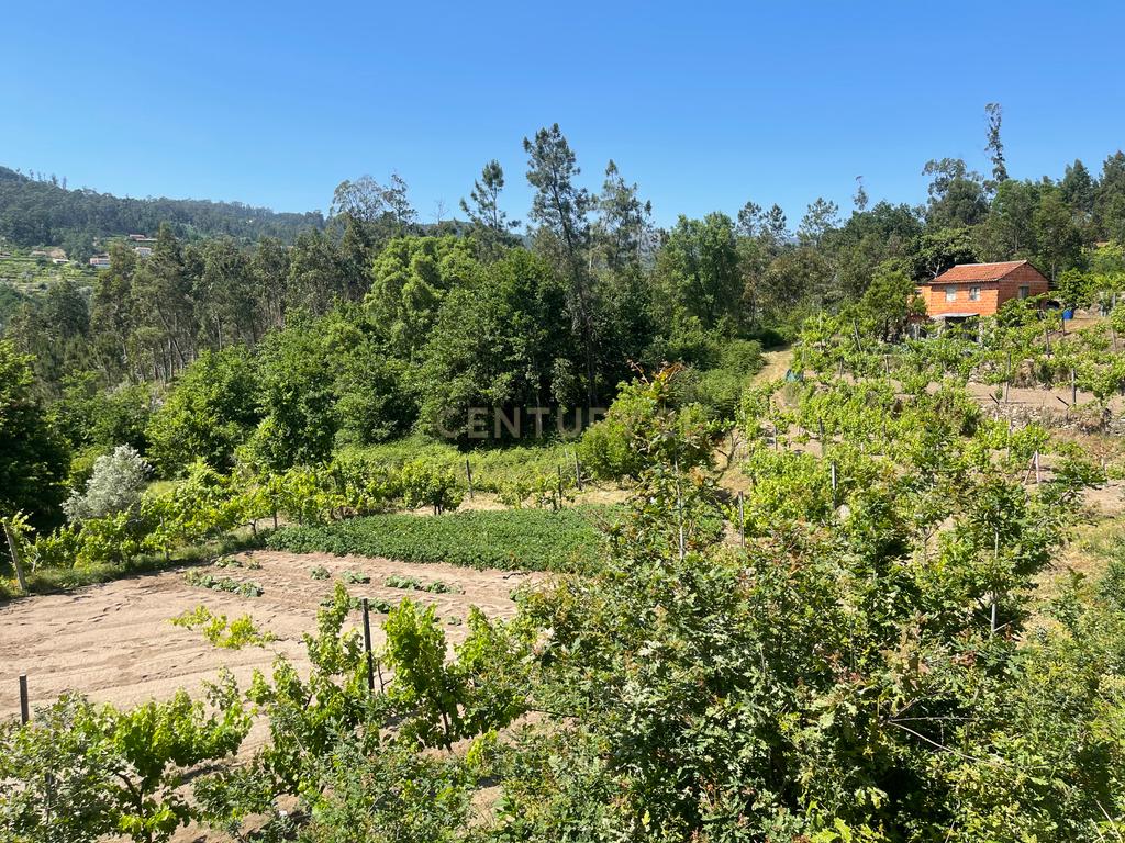 Terreno de 7.500 m² situado próximo ao lago, contendo uma casa a ser restaurada e um aviário automatizado altamente rentável. - Image 45