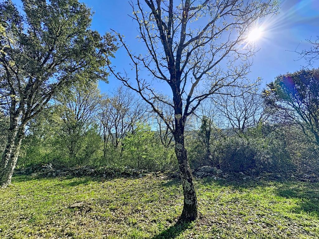 O lugar ideal para construir em plena natureza – Alcobaça - Image 25