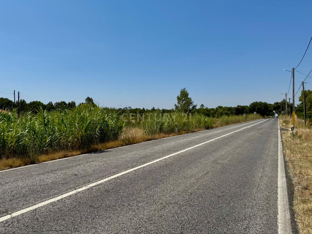 Terreno com 94.000 m2 na zona do Novo Aeroporto de Lisboa, Santo Estêvão, Benavente. Em venda! - Image 23
