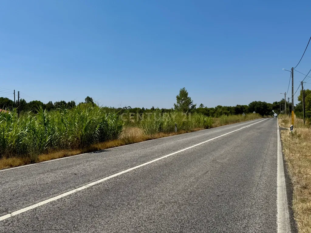 Terreno com 94.000 m2 na zona do Novo Aeroporto de Lisboa, Santo Estêvão, Benavente. Em venda! - Image 23