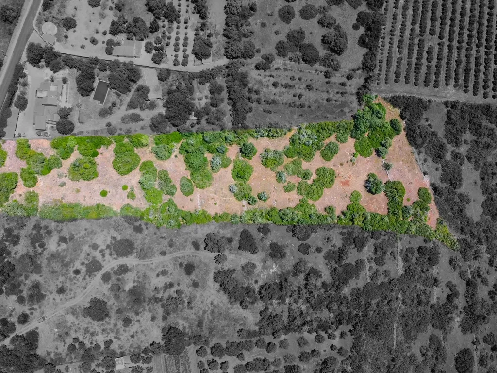 Terreno a um passo da Vila de São Bartolomeu de Messines - Image 6