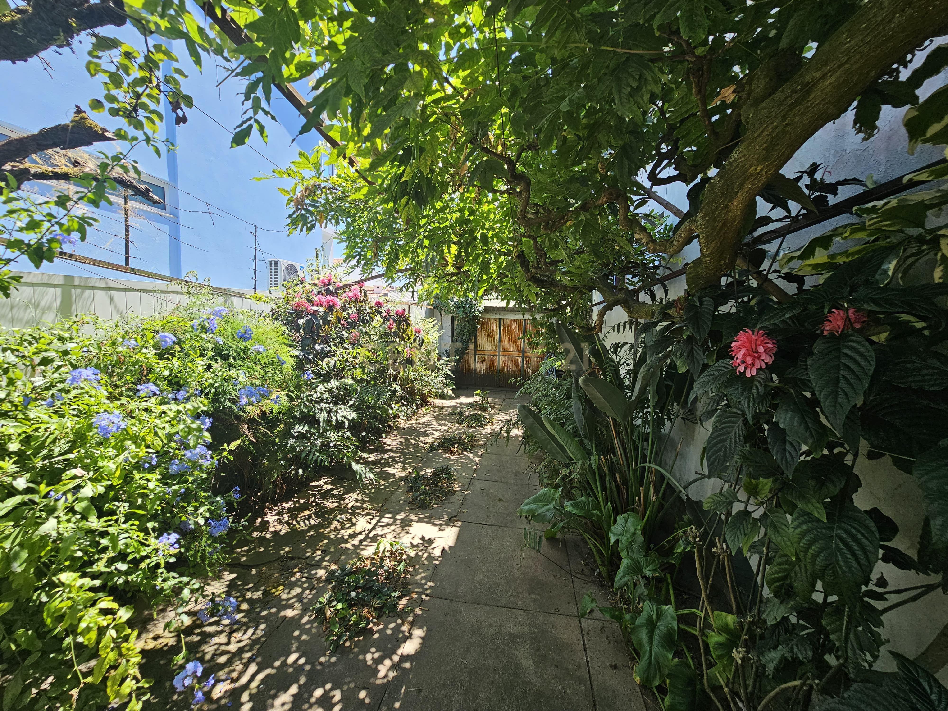 Fotografia 7 de MORADIA T5 GEMINADA PARA REMODELAR TOTAL | Rua Fernão Mendes Pinto, 294, Vila Nova de Gaia