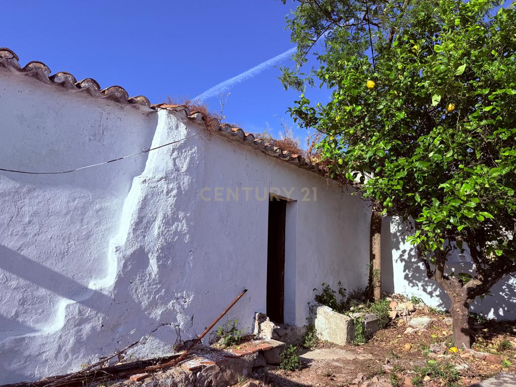 Quinta em Estiramantens – 1 Hectare de Pura Tranquilidade!  - Image 3