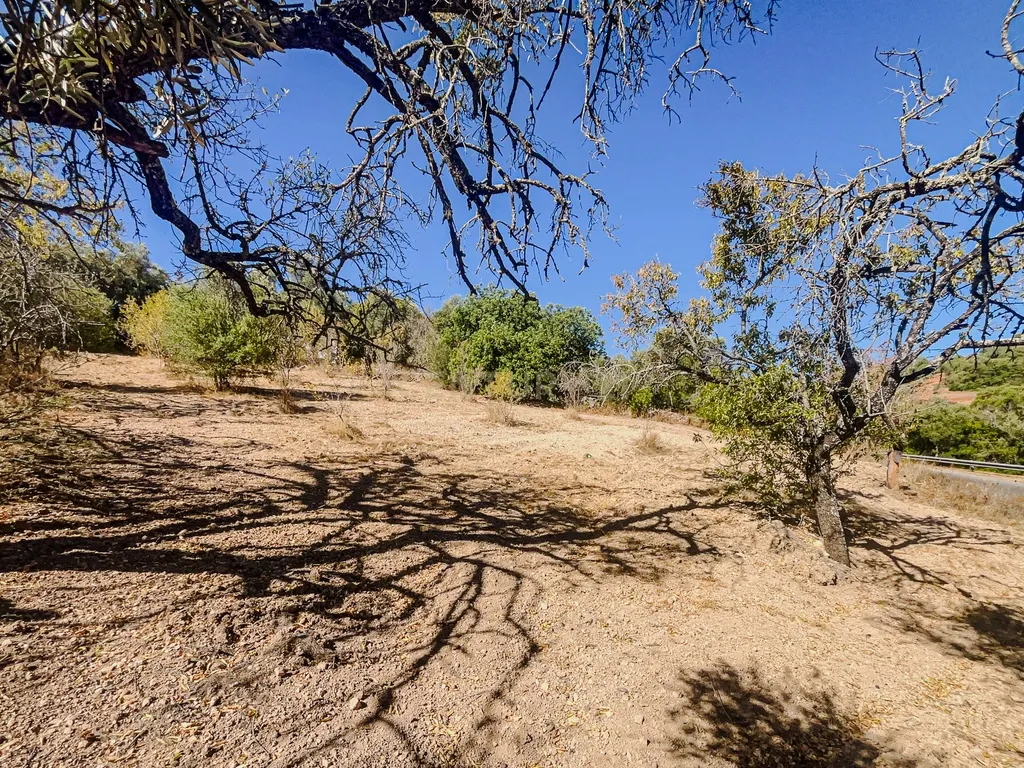 Terreno com alfarrobeiras e bons acessos perto de Paderne - Image 7