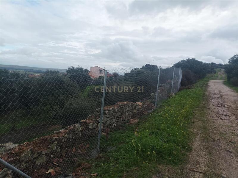 Terreno - Image 13