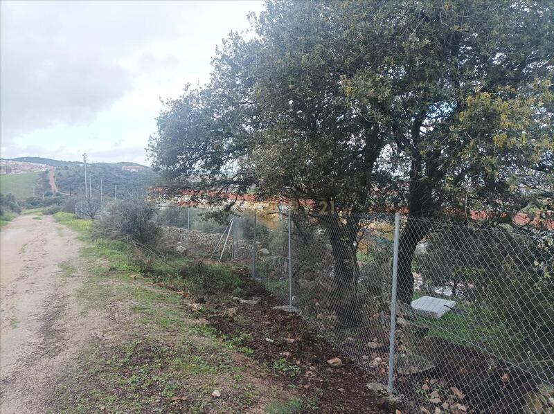 Terreno - Image 15