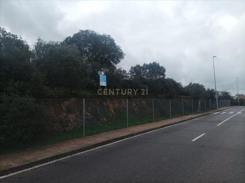 Terreno - Image 18