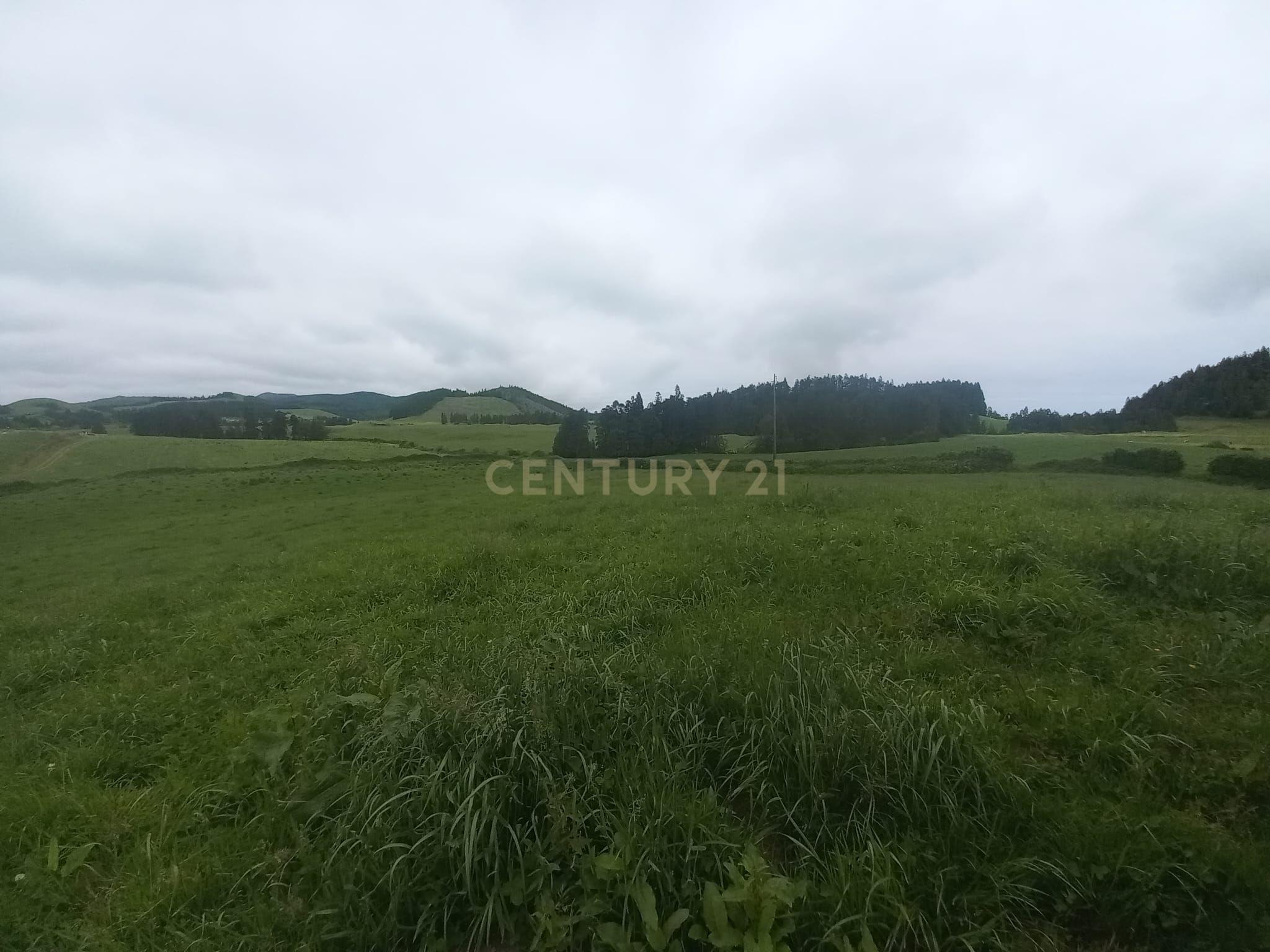 Fotografia 3 de Terreno Agrícola em Ponta Garça, Vila Franca do Campo